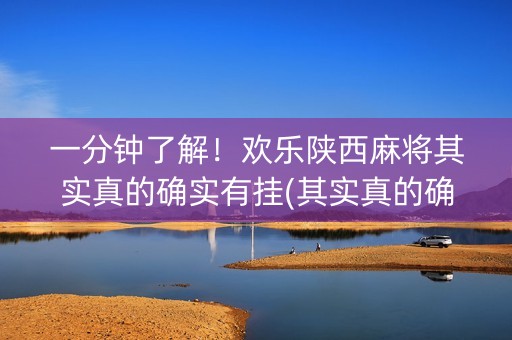 一分钟了解！欢乐陕西麻将其实真的确实有挂(其实真的确实有挂)