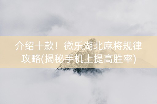 介绍十款！微乐湖北麻将规律攻略(揭秘手机上提高胜率)