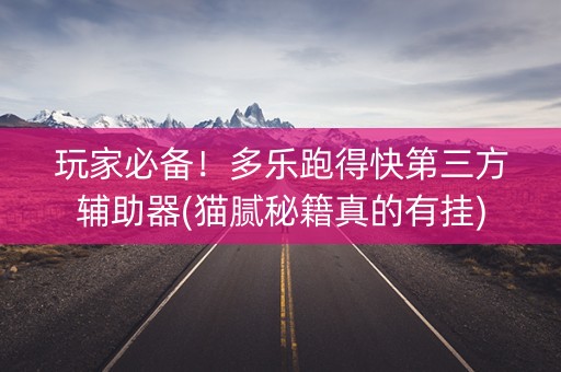 玩家必备！多乐跑得快第三方辅助器(猫腻秘籍真的有挂)