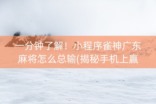 一分钟了解！小程序雀神广东麻将怎么总输(揭秘手机上赢的诀窍)