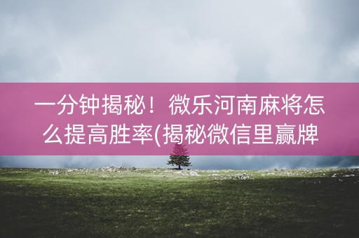 一分钟揭秘！微乐河南麻将怎么提高胜率(揭秘微信里赢牌的技巧)