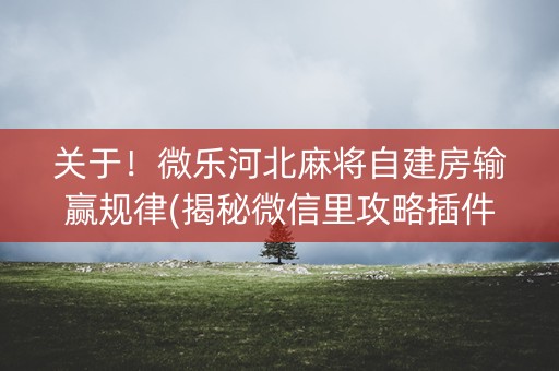 关于！微乐河北麻将自建房输赢规律(揭秘微信里攻略插件)