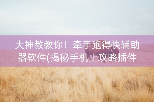 大神教教你！牵手跑得快辅助器软件(揭秘手机上攻略插件)