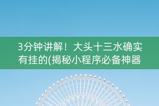 3分钟讲解！大头十三水确实有挂的(揭秘小程序必备神器)