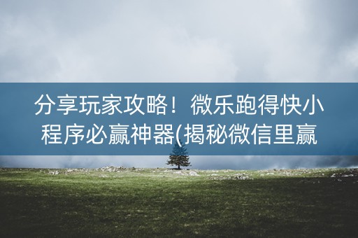 分享玩家攻略！微乐跑得快小程序必赢神器(揭秘微信里赢牌技巧)