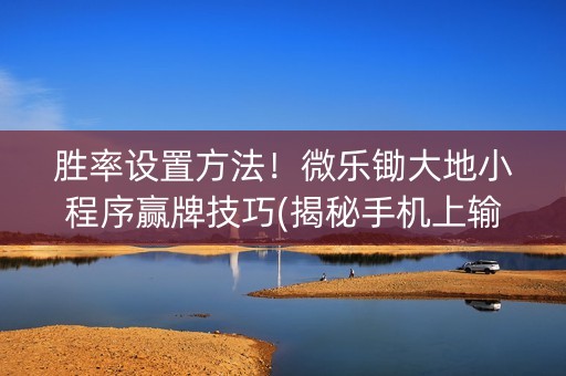 胜率设置方法！微乐锄大地小程序赢牌技巧(揭秘手机上输赢技巧)