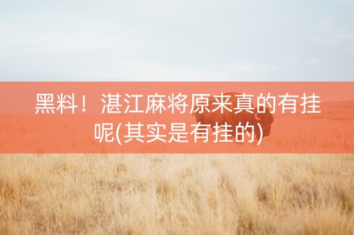 黑料！湛江麻将原来真的有挂呢(其实是有挂的)