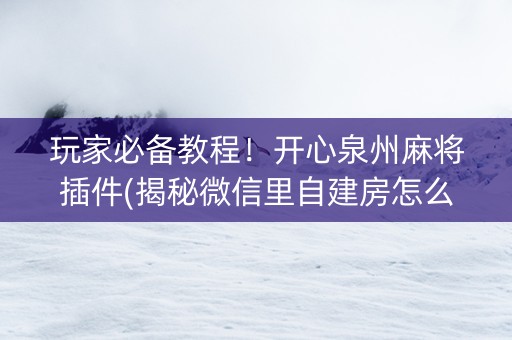 玩家必备教程！开心泉州麻将插件(揭秘微信里自建房怎么赢)