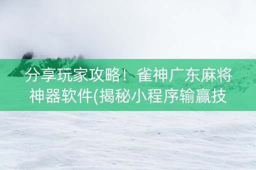 分享玩家攻略！雀神广东麻将神器软件(揭秘小程序输赢技巧)