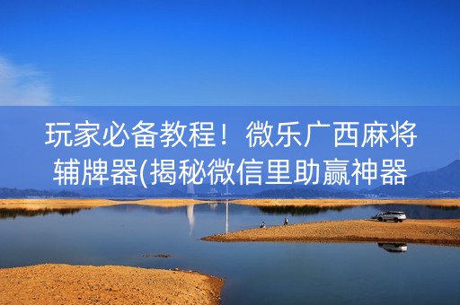 玩家必备教程！微乐广西麻将辅牌器(揭秘微信里助赢神器购买)