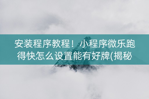 安装程序教程！小程序微乐跑得快怎么设置能有好牌(揭秘小程序插件免费)