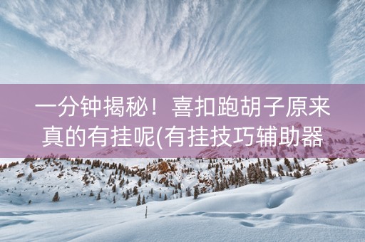 一分钟揭秘！喜扣跑胡子原来真的有挂呢(有挂技巧辅助器)
