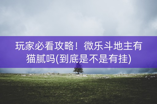 玩家必看攻略！微乐斗地主有猫腻吗(到底是不是有挂)