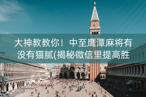 大神教教你！中至鹰潭麻将有没有猫腻(揭秘微信里提高胜率)