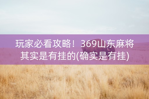 玩家必看攻略！369山东麻将其实是有挂的(确实是有挂)