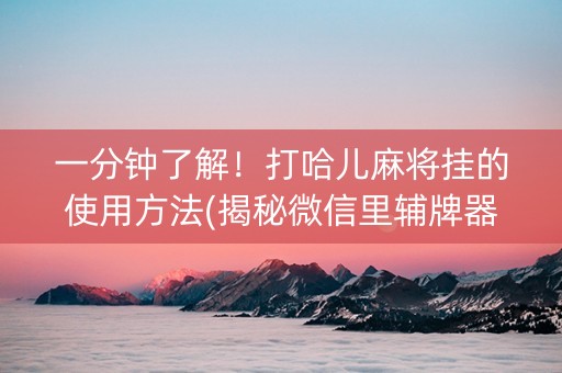 一分钟了解！打哈儿麻将挂的使用方法(揭秘微信里辅牌器)