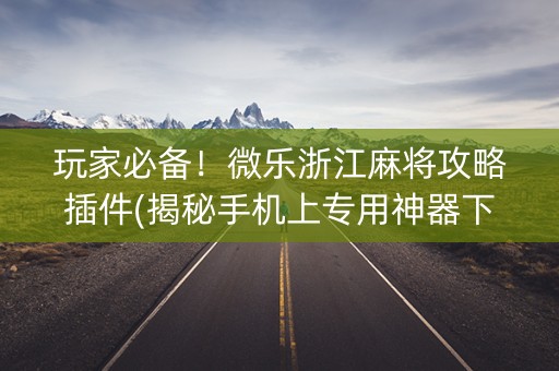 玩家必备！微乐浙江麻将攻略插件(揭秘手机上专用神器下载)