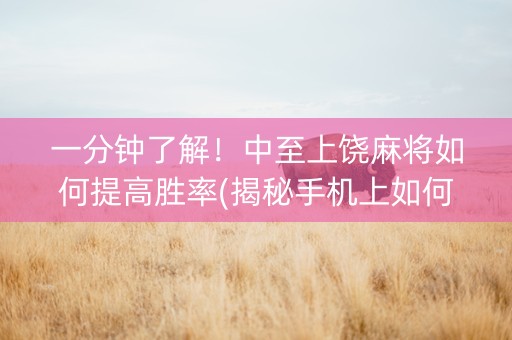 一分钟了解！中至上饶麻将如何提高胜率(揭秘手机上如何让牌变好)