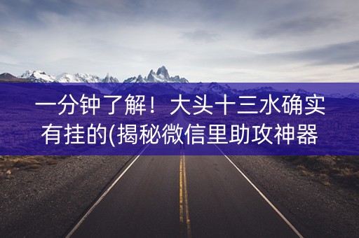一分钟了解！大头十三水确实有挂的(揭秘微信里助攻神器)