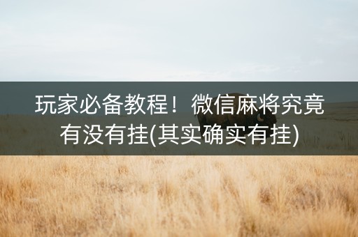玩家必备教程！微信麻将究竟有没有挂(其实确实有挂)