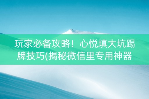 玩家必备攻略！心悦填大坑踢牌技巧(揭秘微信里专用神器下载)