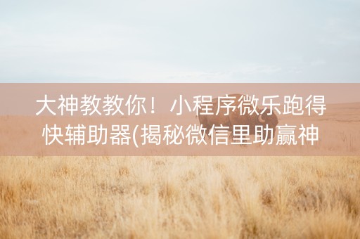 大神教教你！小程序微乐跑得快辅助器(揭秘微信里助赢神器购买)