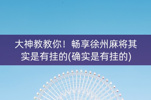 大神教教你！畅享徐州麻将其实是有挂的(确实是有挂的)