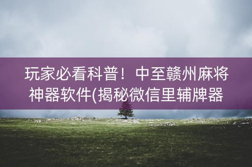 玩家必看科普！中至赣州麻将神器软件(揭秘微信里辅牌器)
