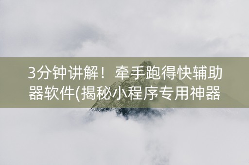 3分钟讲解！牵手跑得快辅助器软件(揭秘小程序专用神器下载)