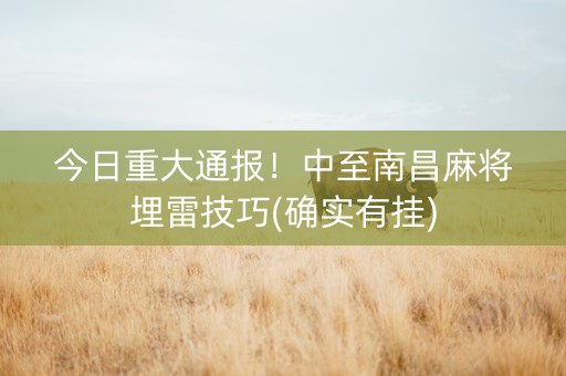 今日重大通报！中至南昌麻将埋雷技巧(确实有挂)