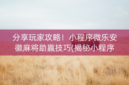 分享玩家攻略！小程序微乐安徽麻将助赢技巧(揭秘小程序助赢软件)