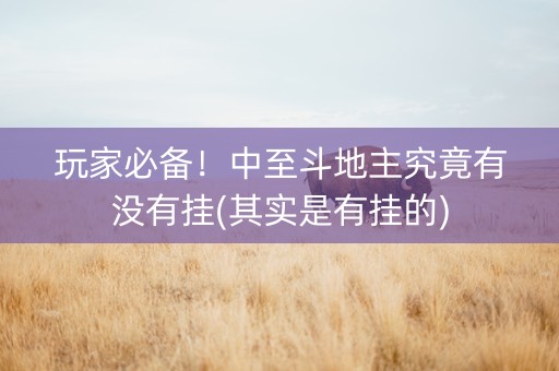玩家必备！中至斗地主究竟有没有挂(其实是有挂的)