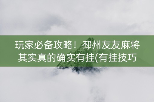 玩家必备攻略！邳州友友麻将其实真的确实有挂(有挂技巧辅助器)
