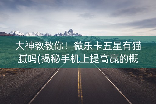 大神教教你！微乐卡五星有猫腻吗(揭秘手机上提高赢的概率)