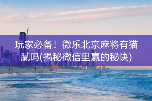 玩家必备！微乐北京麻将有猫腻吗(揭秘微信里赢的秘诀)