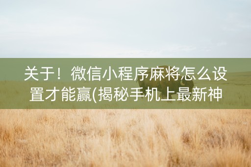 关于！微信小程序麻将怎么设置才能赢(揭秘手机上最新神器下载)