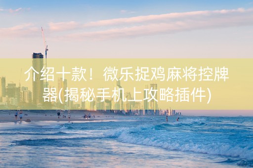 介绍十款！微乐捉鸡麻将控牌器(揭秘手机上攻略插件)