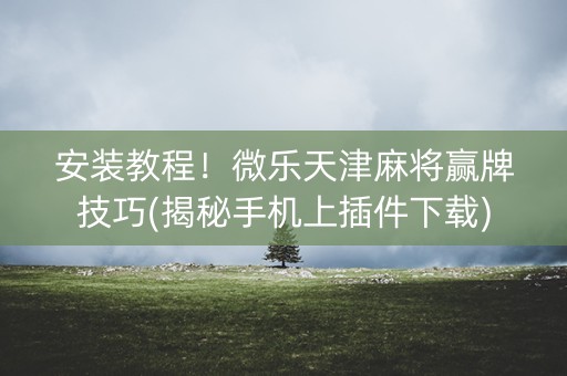 安装教程！微乐天津麻将赢牌技巧(揭秘手机上插件下载)