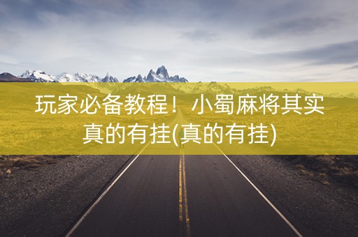玩家必备教程！小蜀麻将其实真的有挂(真的有挂)