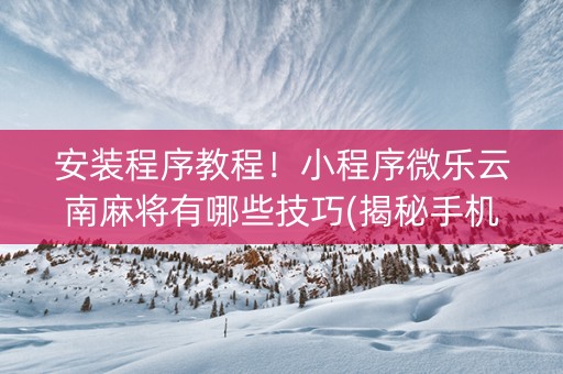 安装程序教程！小程序微乐云南麻将有哪些技巧(揭秘手机上助手软件)