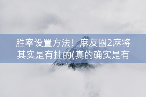 胜率设置方法！麻友圈2麻将其实是有挂的(真的确实是有挂)