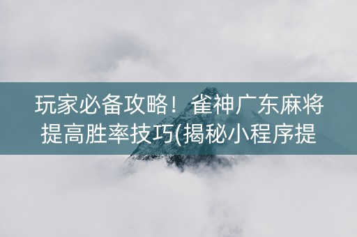 玩家必备攻略！雀神广东麻将提高胜率技巧(揭秘小程序提高胜率)