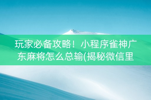 玩家必备攻略！小程序雀神广东麻将怎么总输(揭秘微信里助赢神器)