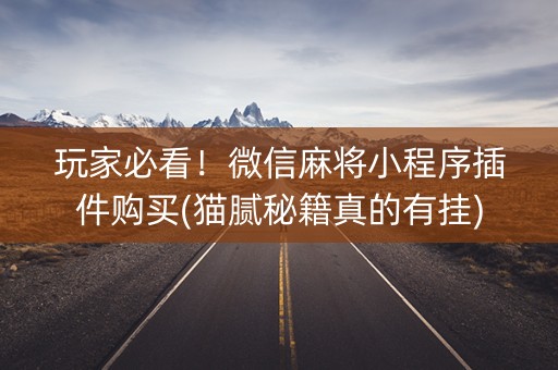 玩家必看！微信麻将小程序插件购买(猫腻秘籍真的有挂)