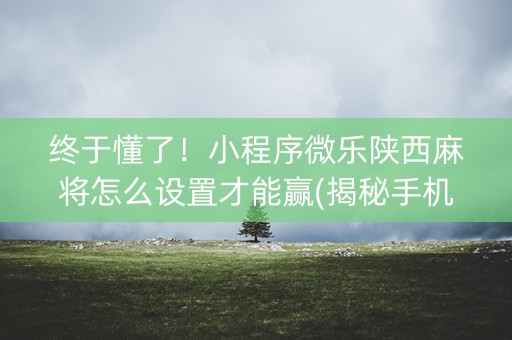 终于懂了！小程序微乐陕西麻将怎么设置才能赢(揭秘手机上确实有猫腻)