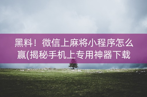 黑料！微信上麻将小程序怎么赢(揭秘手机上专用神器下载)