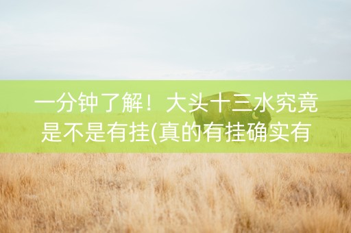 一分钟了解！大头十三水究竟是不是有挂(真的有挂确实有挂)