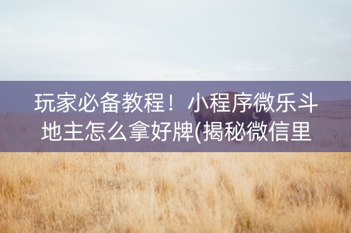 玩家必备教程！小程序微乐斗地主怎么拿好牌(揭秘微信里赢牌的技巧)