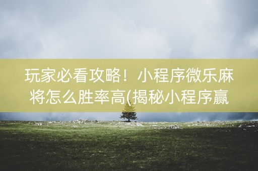 玩家必看攻略！小程序微乐麻将怎么胜率高(揭秘小程序赢的诀窍)