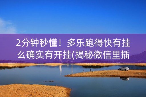 2分钟秒懂！多乐跑得快有挂么确实有开挂(揭秘微信里插件购买)